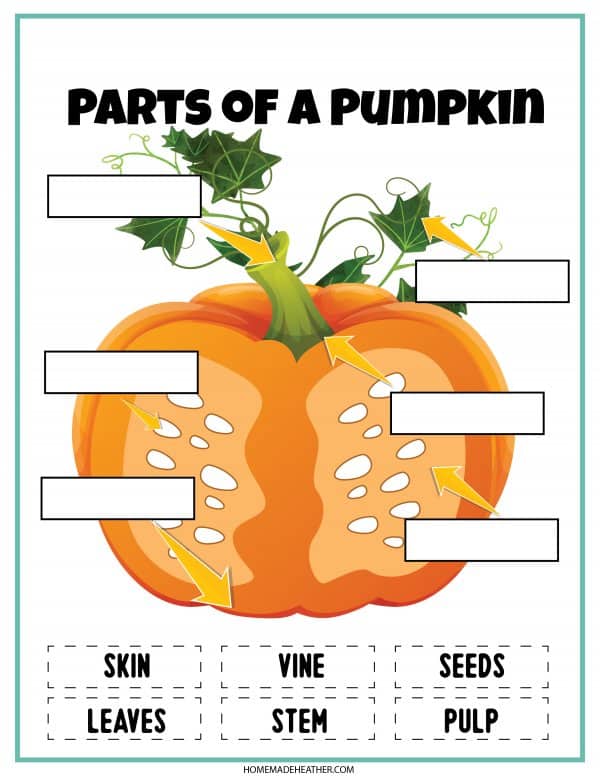 Parts of a pumpkin printable with blue line frame.