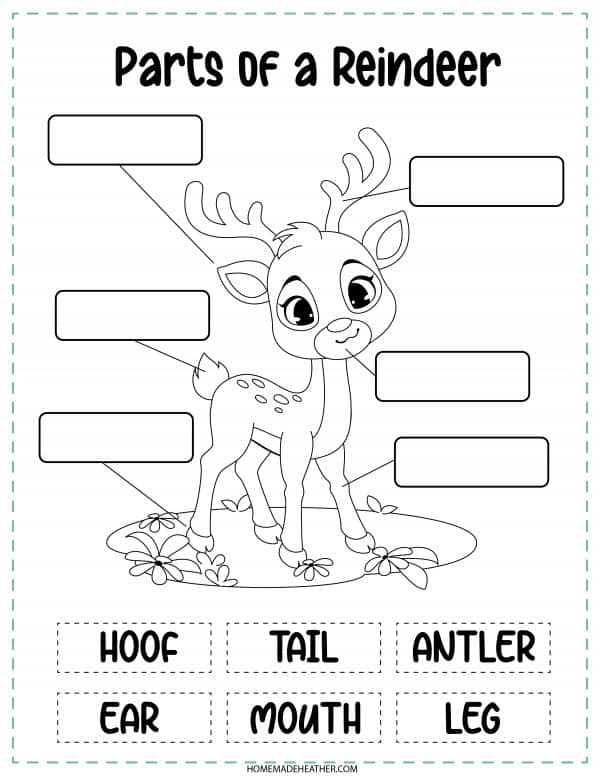 Parts of a Reindeer Printable in black and white.