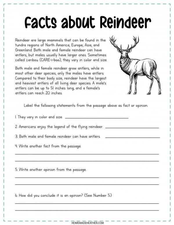 Facts About Reindeer Printable in black and white.