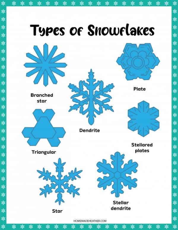 Types of Snowflakes Printable