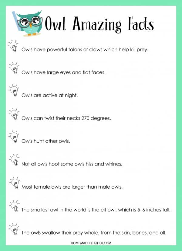 Owl Facts Printable
