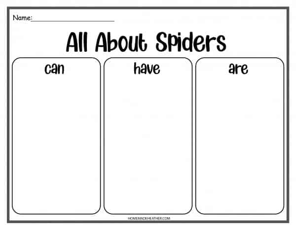 All about spiders printable