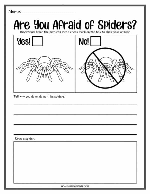 spider work sheet