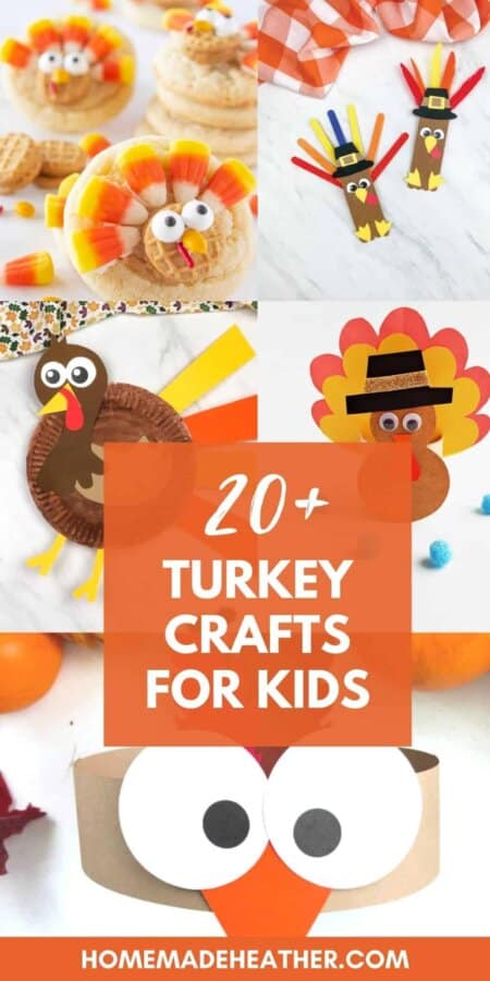 20+ Turkey Crafts for Kids