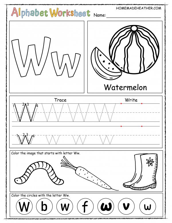 Letter W Printable Worksheet with outline of words that begin with W.