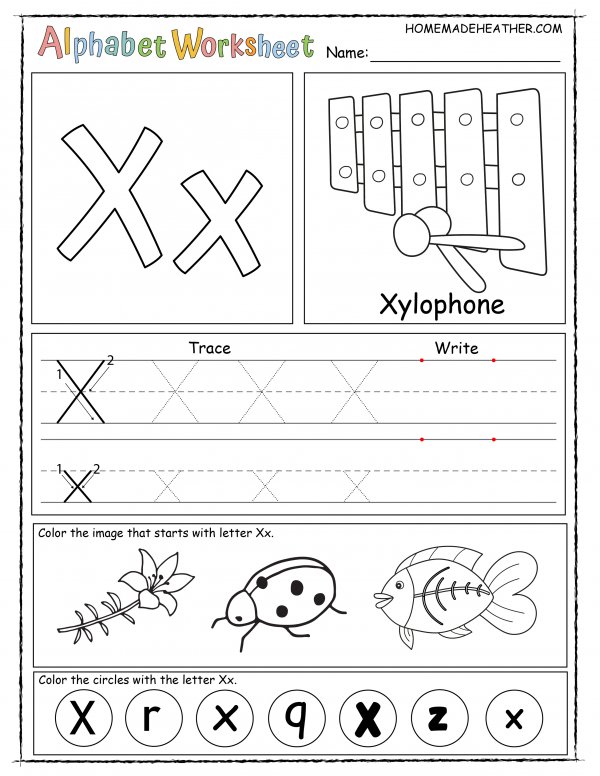 Alphabet worksheet for the letter x, with sections for tracing, writing, and coloring images like a xylophone, flower, and bug plus circles marked with 'X' and 'x'.