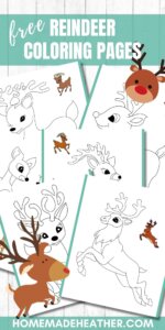 Free Reindeer Coloring Pages