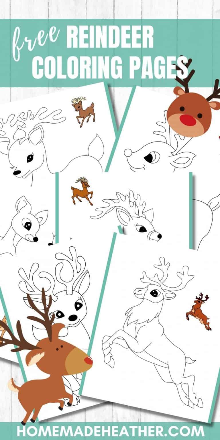 Free Printable Reindeer Coloring Pages