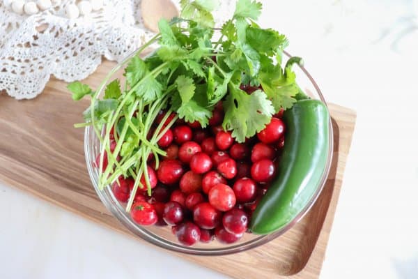 The Best Cranberry Salsa Recipe Ingredients