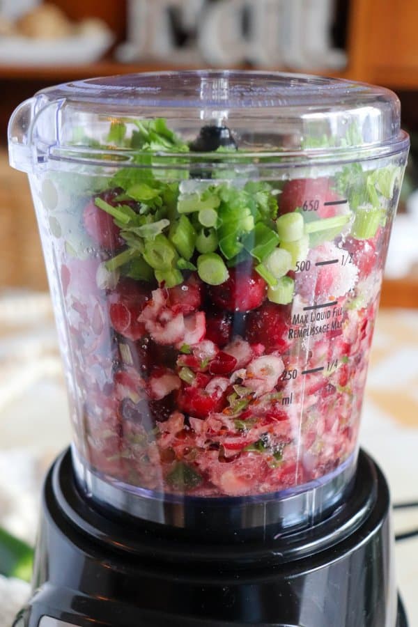 The Best Cranberry Salsa Recipe Process