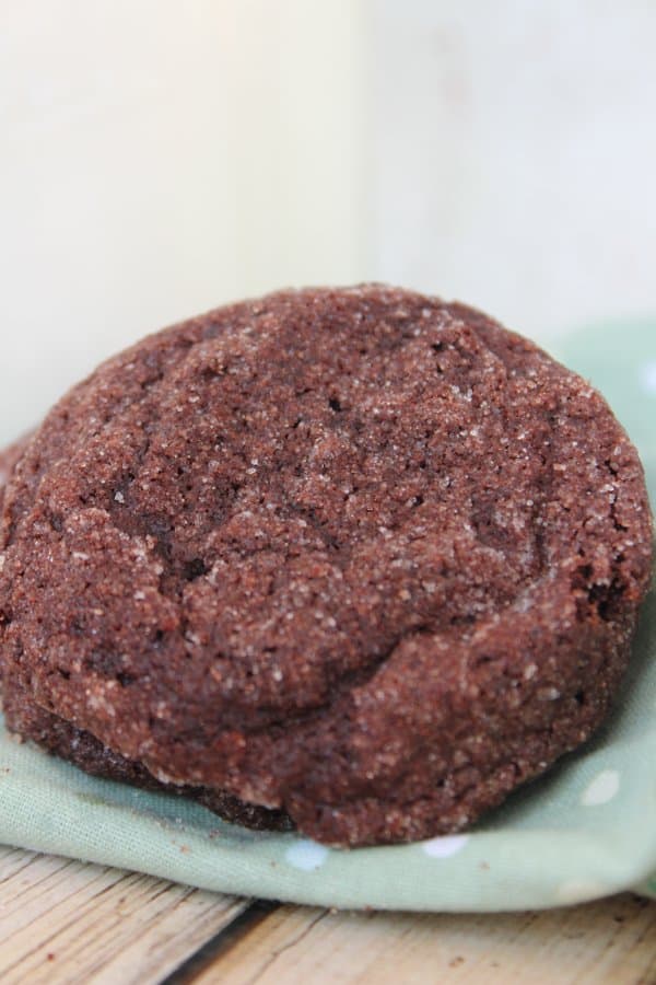 The Best Chocolate Cookie Recipe