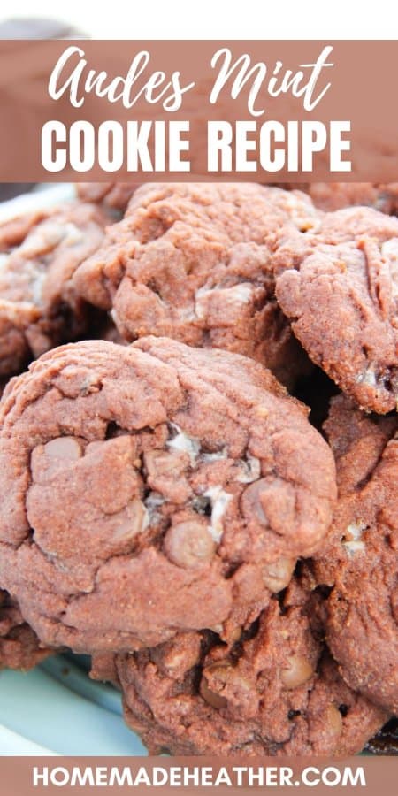 Andes Mint Chocolate Chip Cookie Recipe