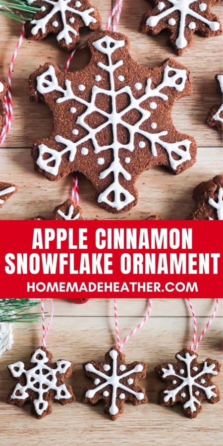 Apple Cinnamon Snowflake Ornaments