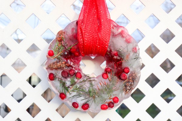 Festive Bundt Pan Ice Wreath