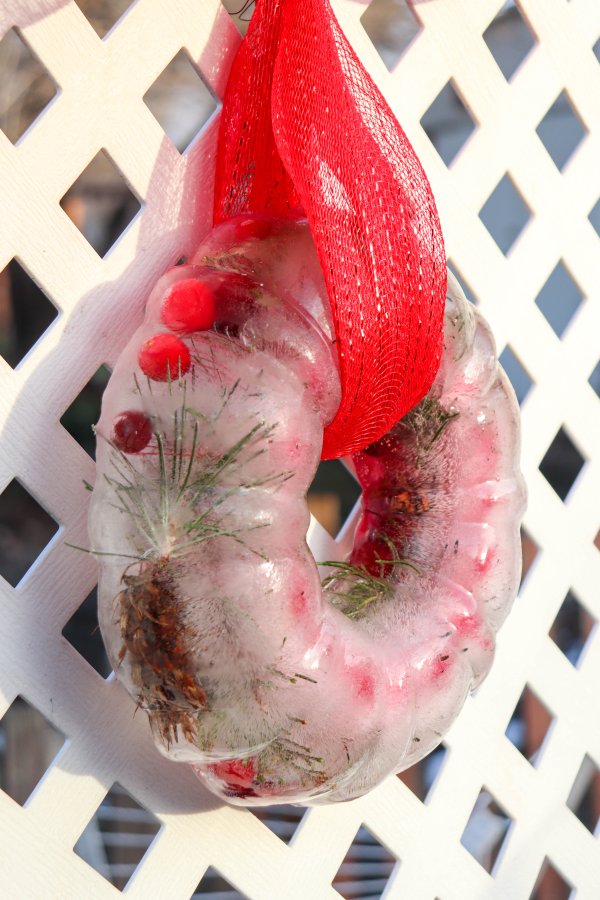 Festive Bundt Pan Ice Wreath