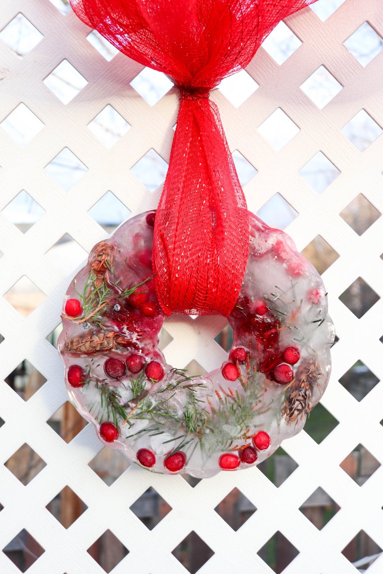 Festive bundt pan Ice wreath