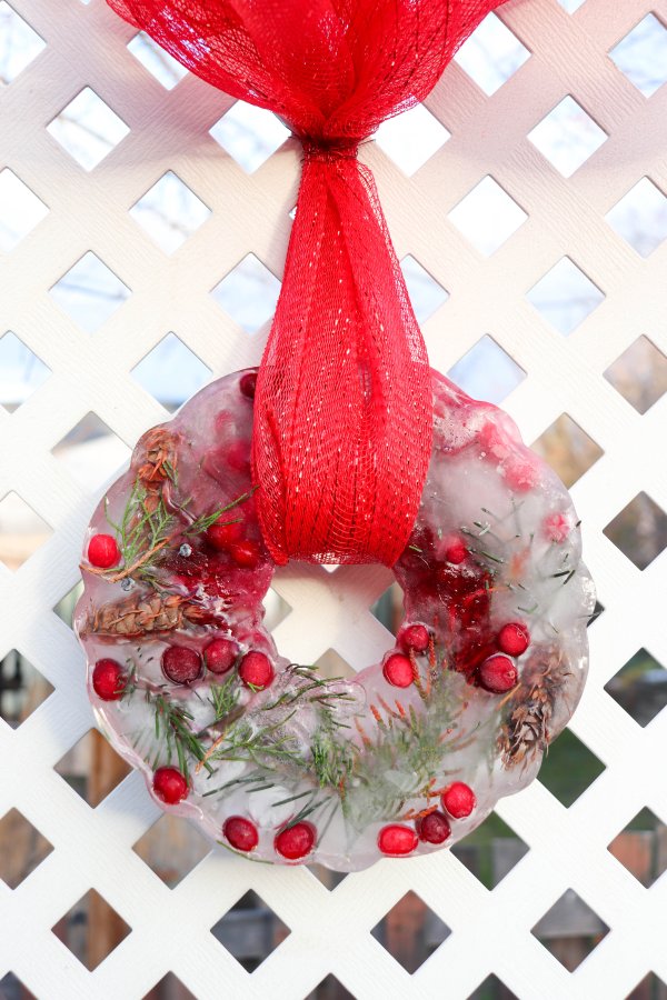 Festive Bundt Pan Ice Wreath