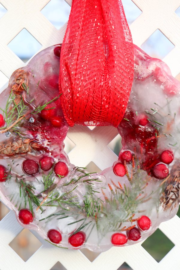 Festive Bundt Pan Ice Wreath