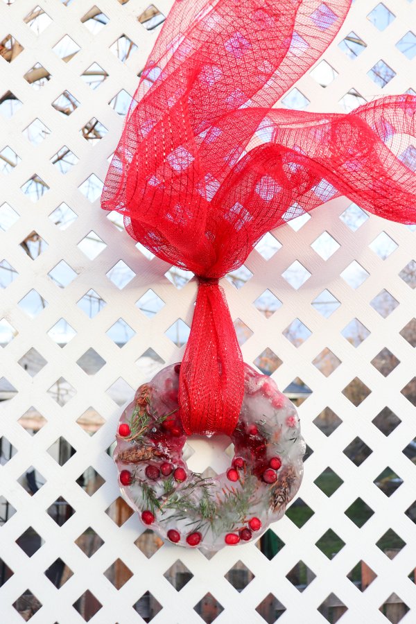 Festive Bundt Pan Ice Wreath