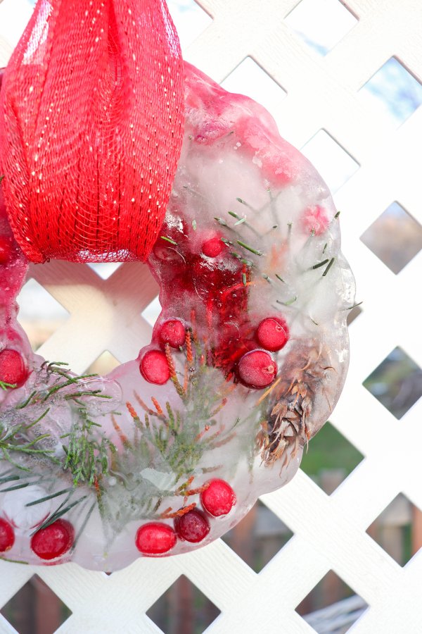 Festive Bundt Pan Ice Wreath