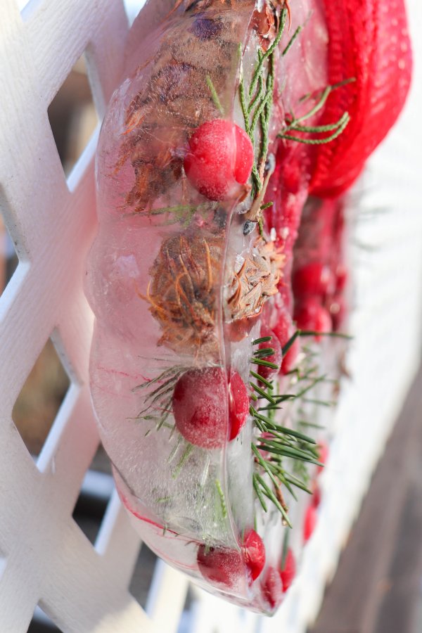 Festive Bundt Pan Ice Wreath