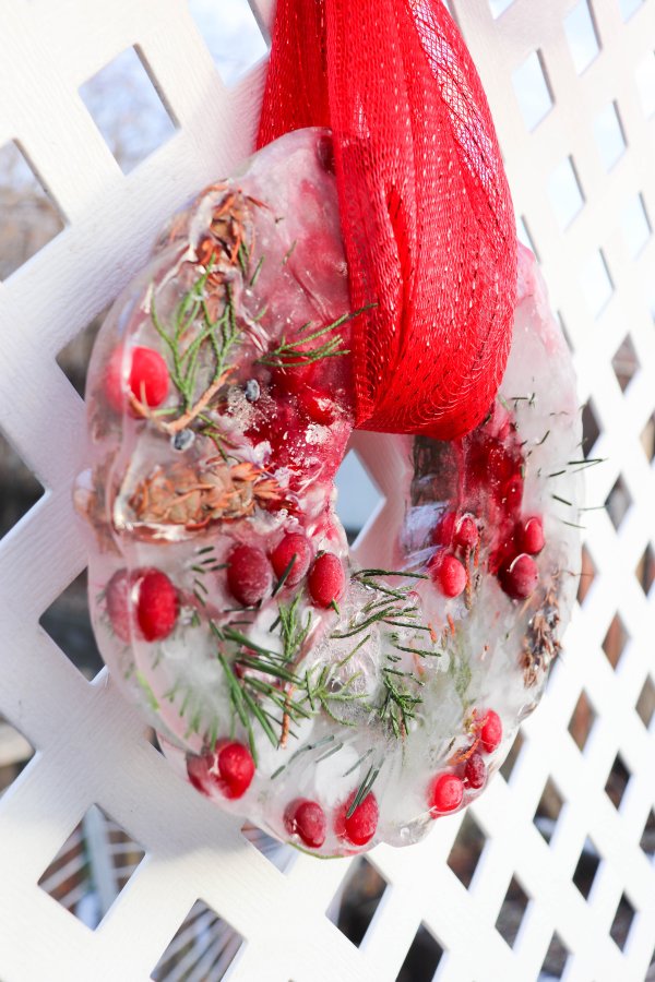Festive Bundt Pan Ice Wreath