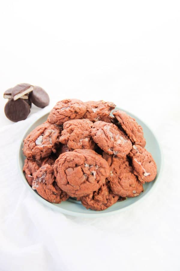 Double Chocolate Chip Mint Cookie Recipe