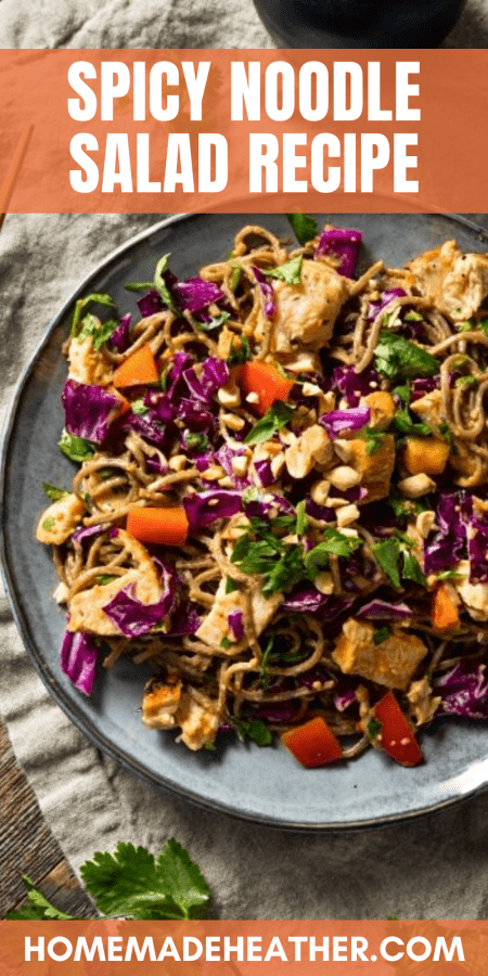 Spicy Noodle Salad Recipe