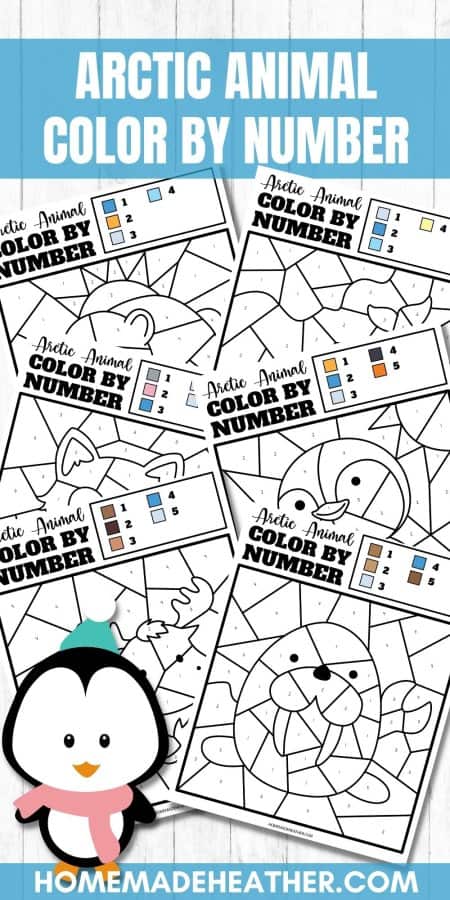 Arctic Animal Color By Number Printables