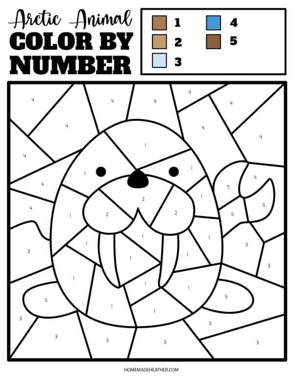 beach activity set Arctic Animal Color By Number Printable