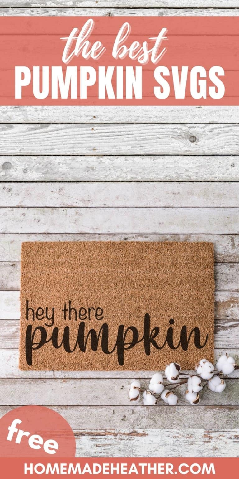 The Best Pumpkin SVGs