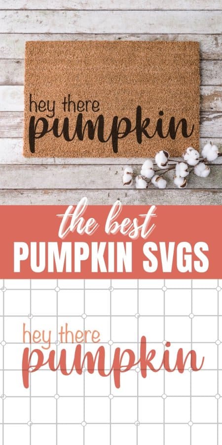 The Best Pumpkin SVGs