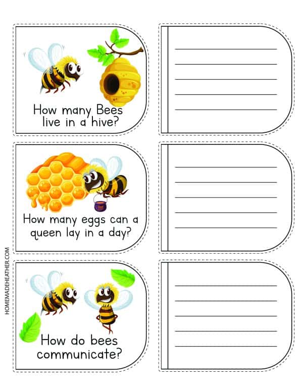 Bee Activity Printable