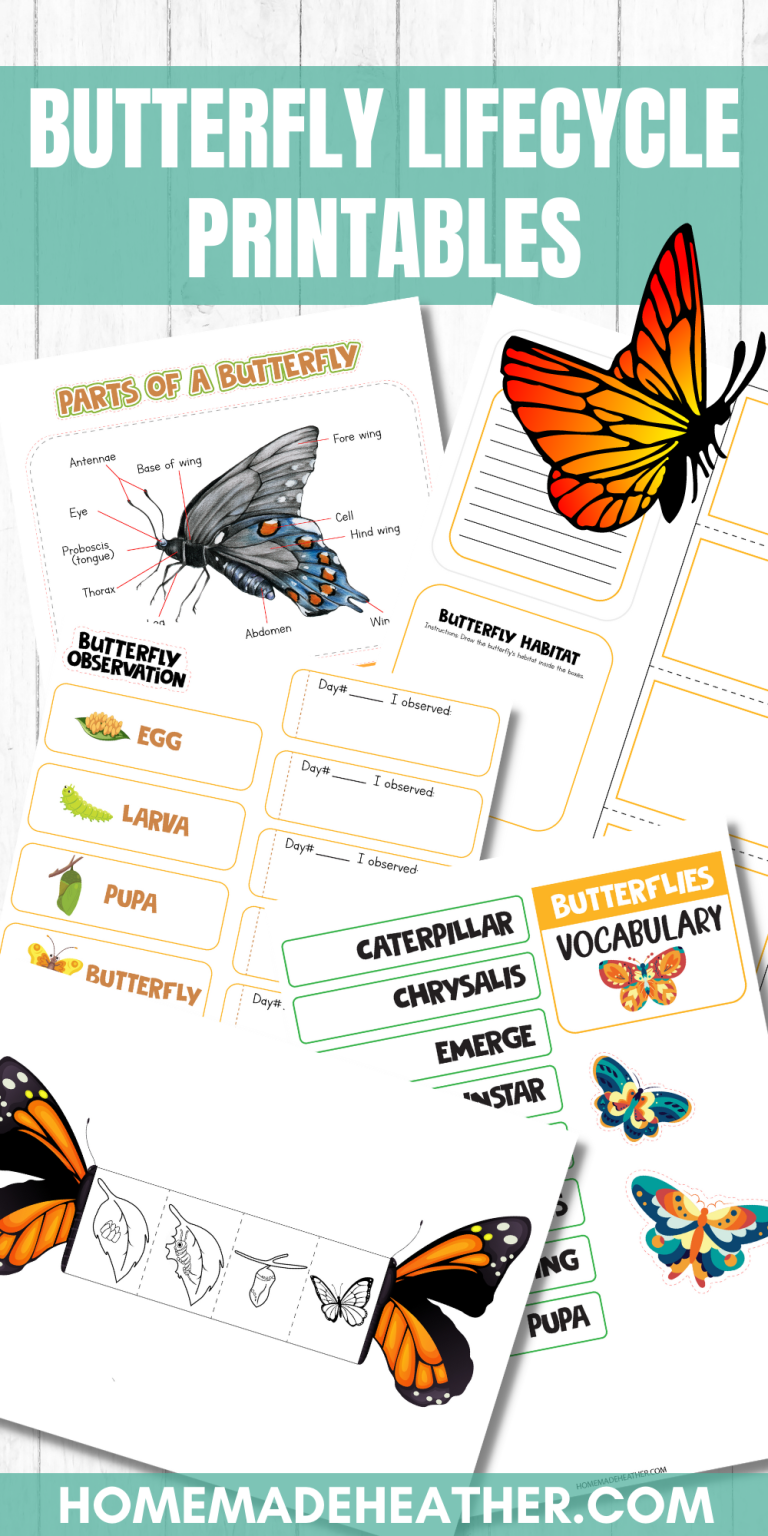 Butterfly Life Cycle Printables