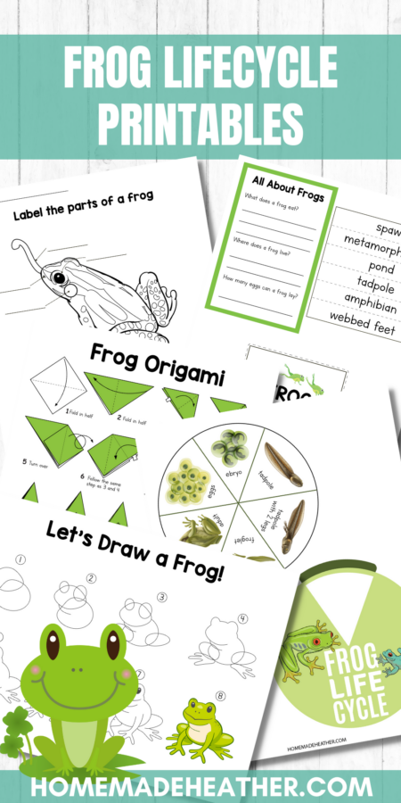 Frog Lifecycle Printables