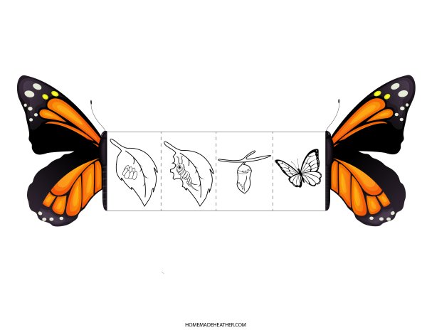 Butterfly Lifecycle Printables