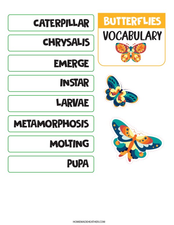 Butterfly Lifecycle Printables