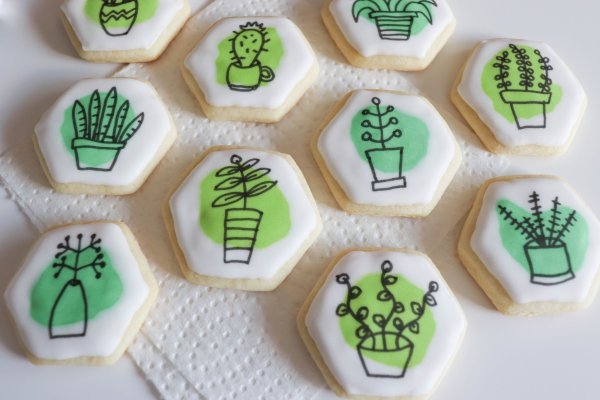 House Plant Sugar Cookies Process
