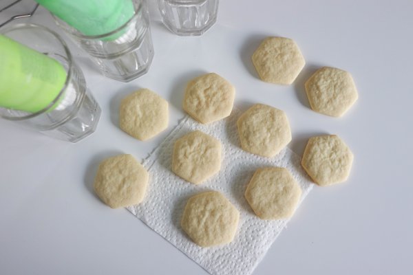 House Plant Sugar Cookies Process