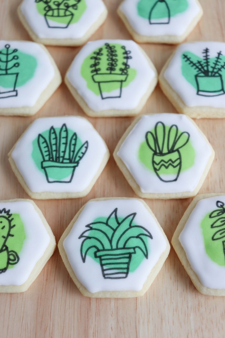 House Plant Sugar Cookies with Free Printable Gift Tag