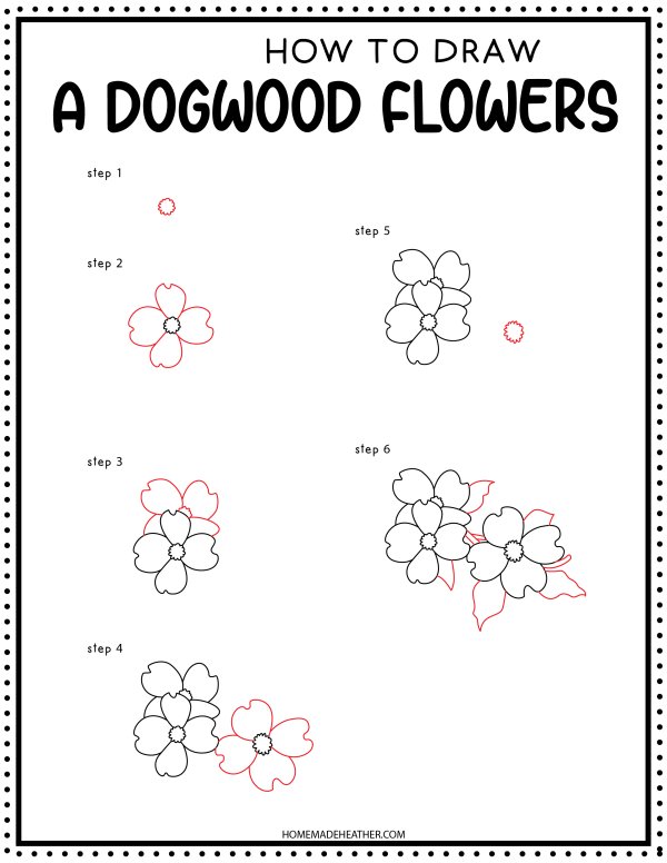 How to Draw a flower printable with step by step pictures.