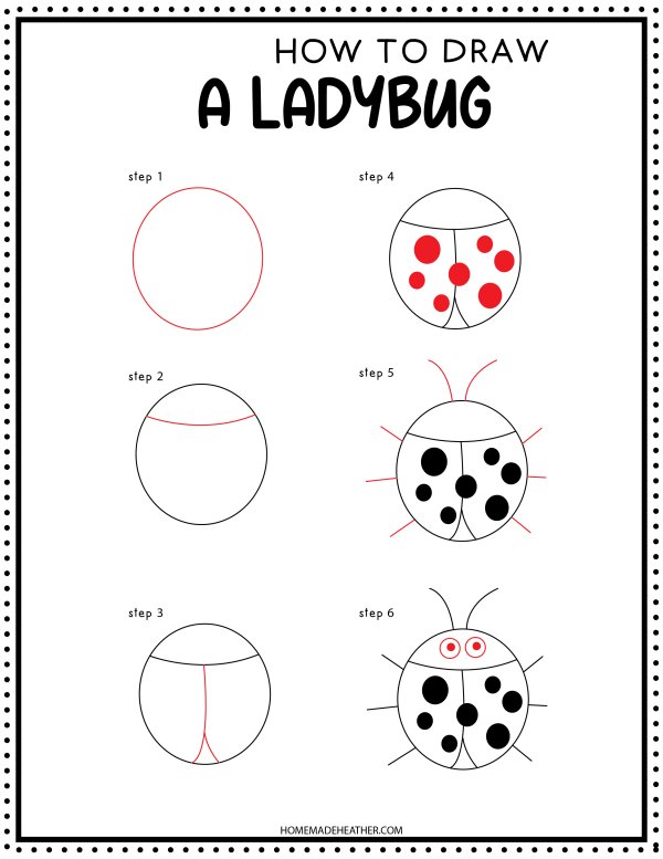 How to Draw a ladybug printable with step by step pictures.