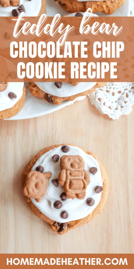 Teddy Bear Chocolate Chip Cookie Recipe