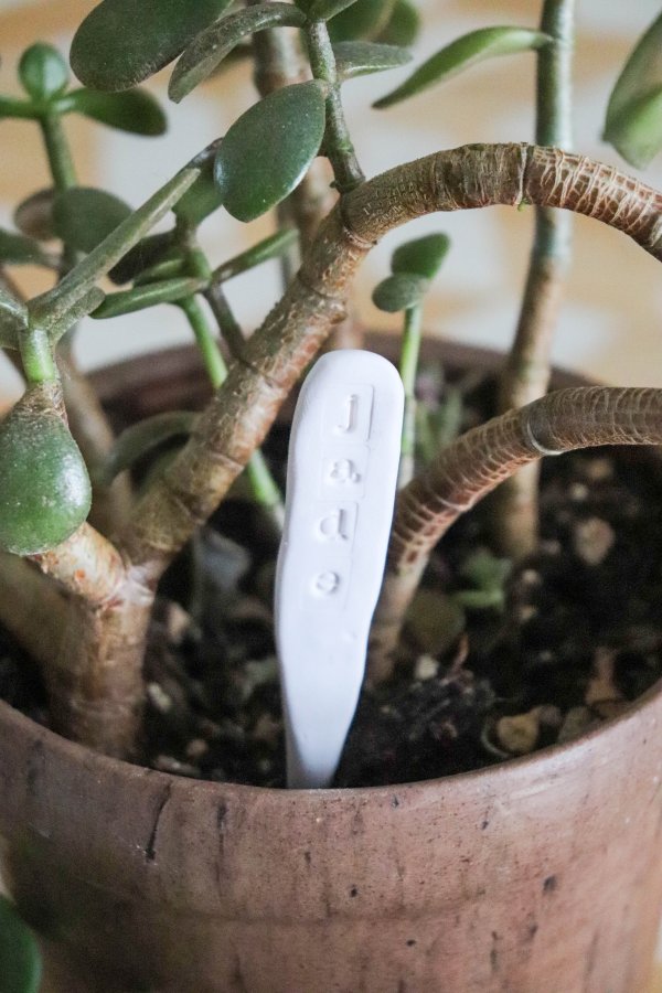 Easy Clay Plant Markers