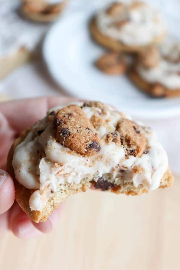 Chocolate Chip Cookie Dough Cookies