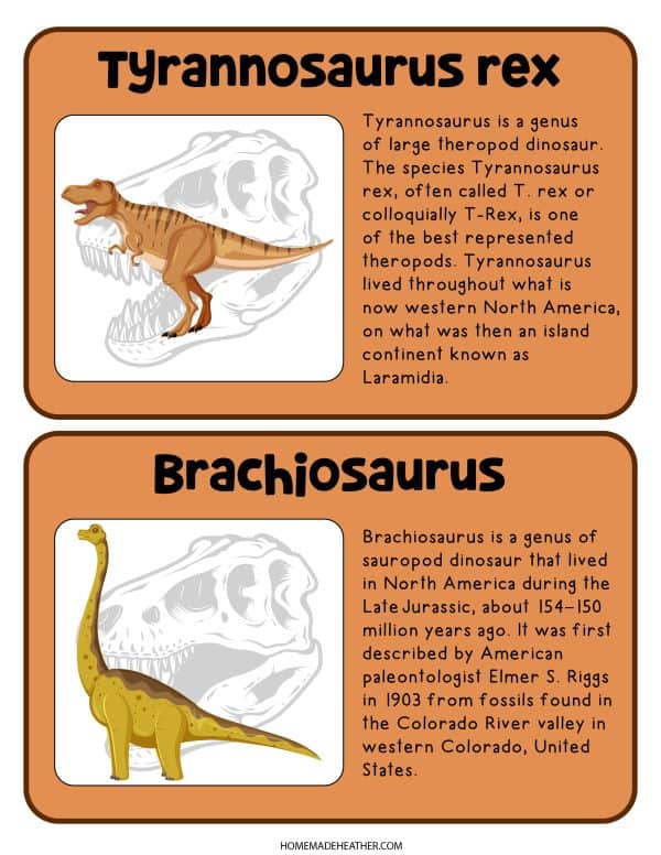 Descriptive Tyrannosaurus Rex and Brachiosaurus printable labels for a pretend play dinosaur museum.