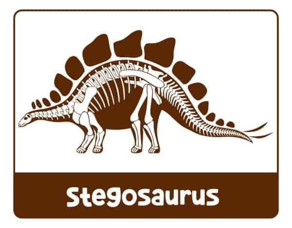 Dinosaur museum stegosaurus label pretend play printables.