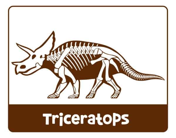 Triceratops dinosaur museum pretend play printables.