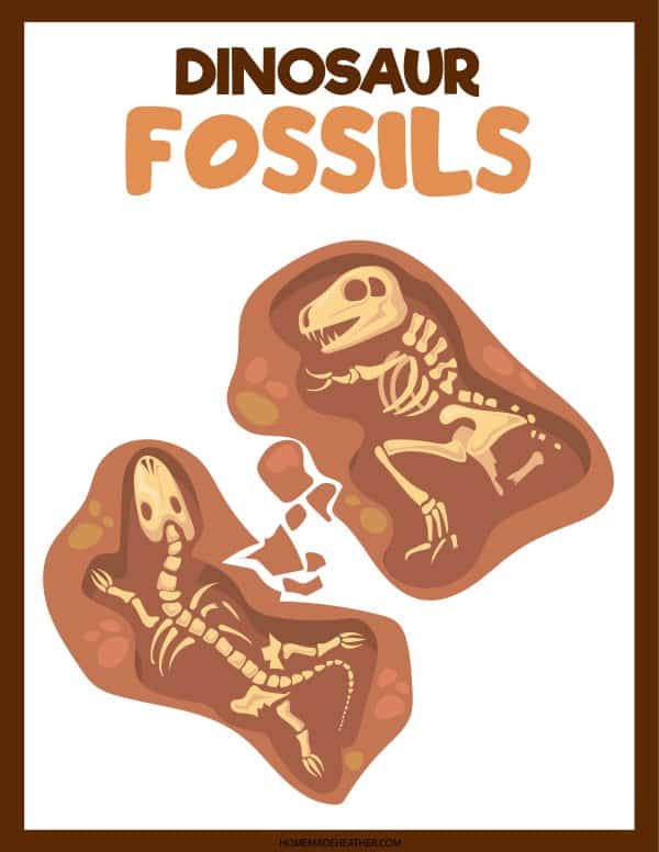 Dinosaur fossils museum pretend play printables.