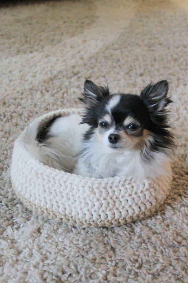 Free Crochet Dog Bed Pattern